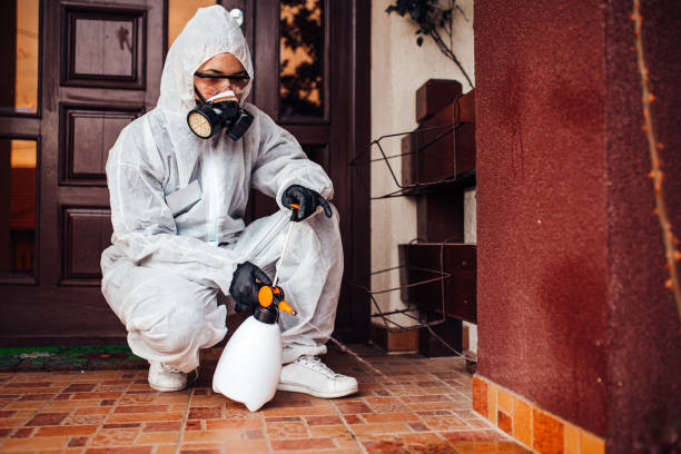 Reliable Cockroach Control contractor in Duquesne, MO by Nex Pest Control